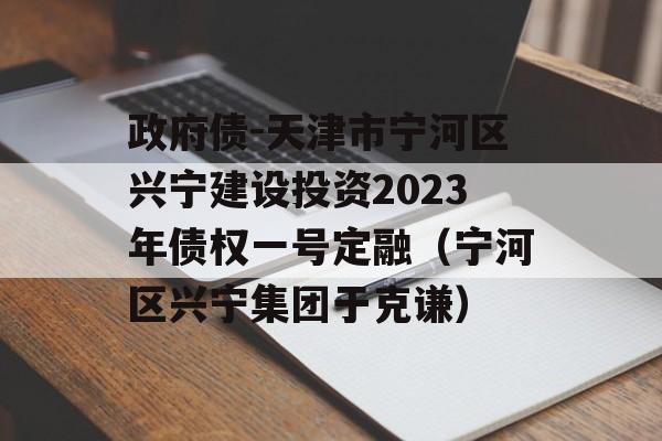 政府债-天津市宁河区兴宁建设投资2023年债权一号定融（宁河区兴宁集团于克谦）