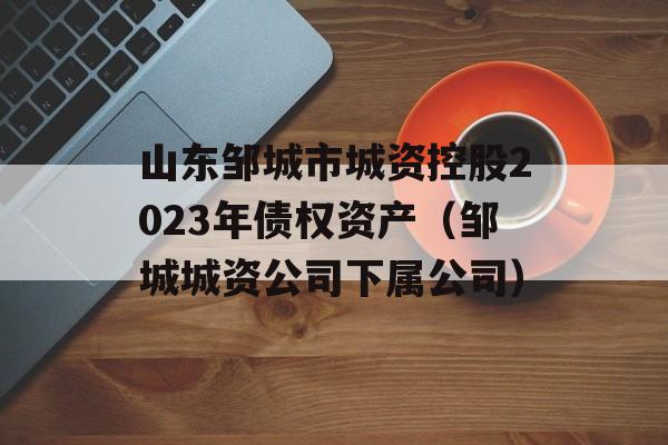 山东邹城市城资控股2023年债权资产（邹城城资公司下属公司）