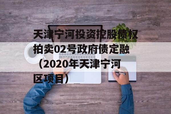 天津宁河投资控股债权拍卖02号政府债定融（2020年天津宁河区项目）