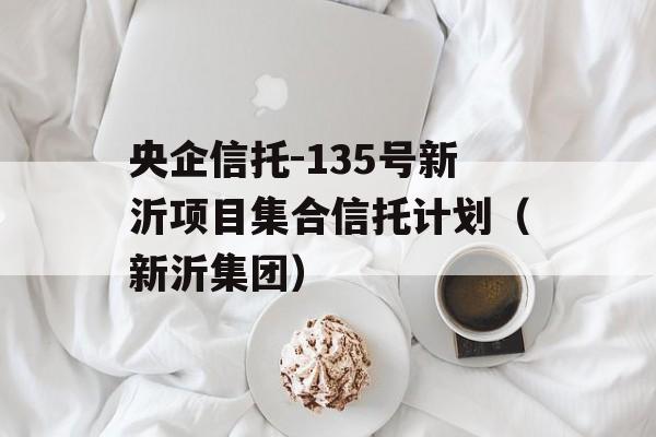 央企信托-135号新沂项目集合信托计划（新沂集团）