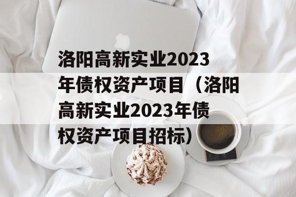 洛阳高新实业2023年债权资产项目（洛阳高新实业2023年债权资产项目招标）