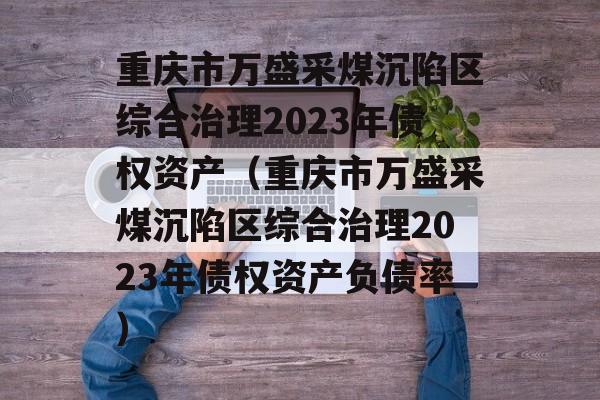 重庆市万盛采煤沉陷区综合治理2023年债权资产（重庆市万盛采煤沉陷区综合治理2023年债权资产负债率）