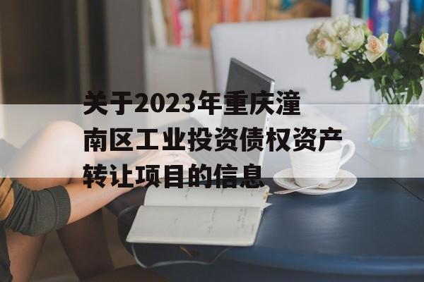 关于2023年重庆潼南区工业投资债权资产转让项目的信息