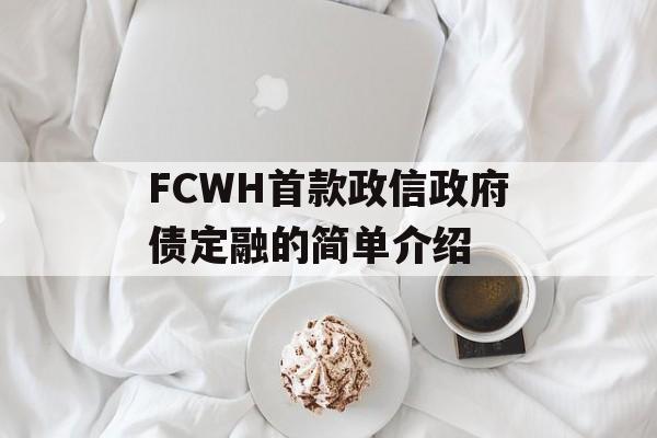 FCWH首款政信政府债定融的简单介绍