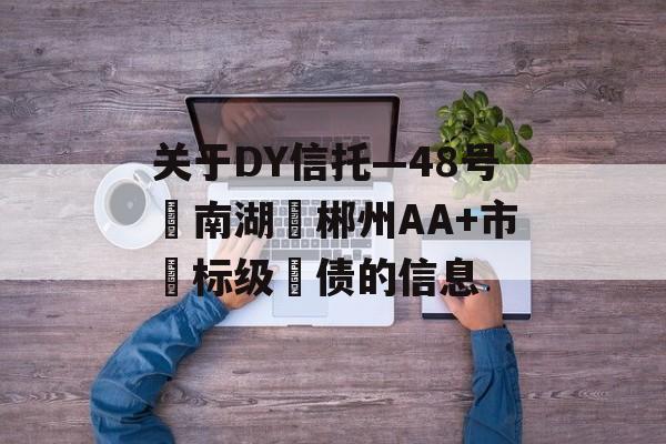 关于DY信托—48号‮南湖‬郴州AA+市‮标级‬债的信息