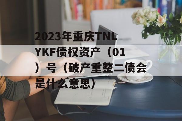 2023年重庆TNLYKF债权资产（01）号（破产重整二债会是什么意思）