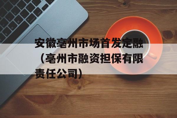 安徽亳州市场首发定融（亳州市融资担保有限责任公司）