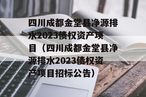 四川成都金堂县净源排水2023债权资产项目（四川成都金堂县净源排水2023债权资产项目招标公告）