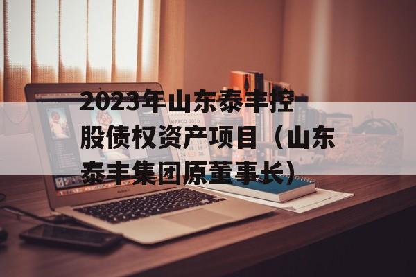 2023年山东泰丰控股债权资产项目（山东泰丰集团原董事长）