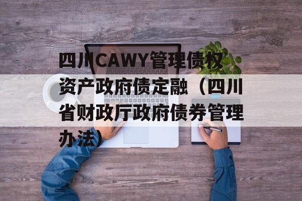 四川CAWY管理债权资产政府债定融（四川省财政厅政府债券管理办法）