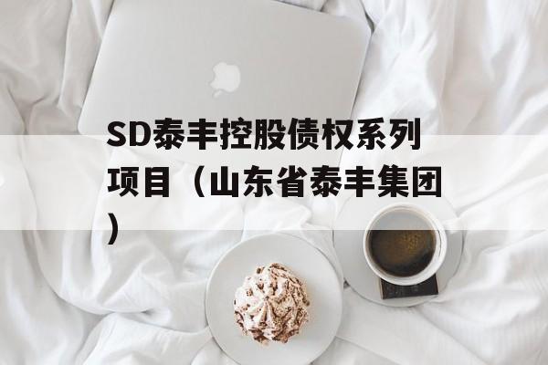 SD泰丰控股债权系列项目（山东省泰丰集团）