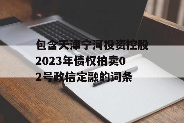 包含天津宁河投资控股2023年债权拍卖02号政信定融的词条