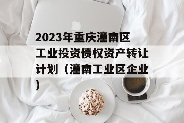 2023年重庆潼南区工业投资债权资产转让计划（潼南工业区企业）