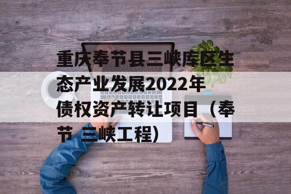 重庆奉节县三峡库区生态产业发展2022年债权资产转让项目（奉节 三峡工程）