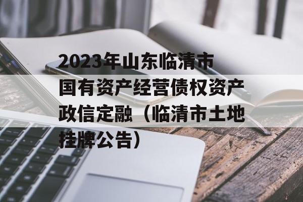 2023年山东临清市国有资产经营债权资产政信定融（临清市土地挂牌公告）