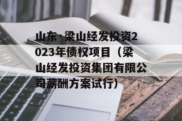 山东·梁山经发投资2023年债权项目（梁山经发投资集团有限公司薪酬方案试行）