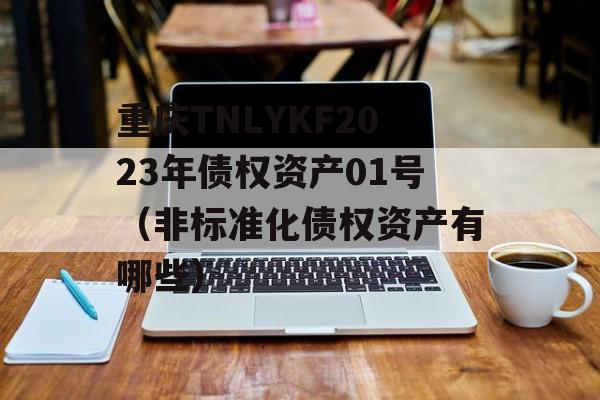 重庆TNLYKF2023年债权资产01号（非标准化债权资产有哪些）