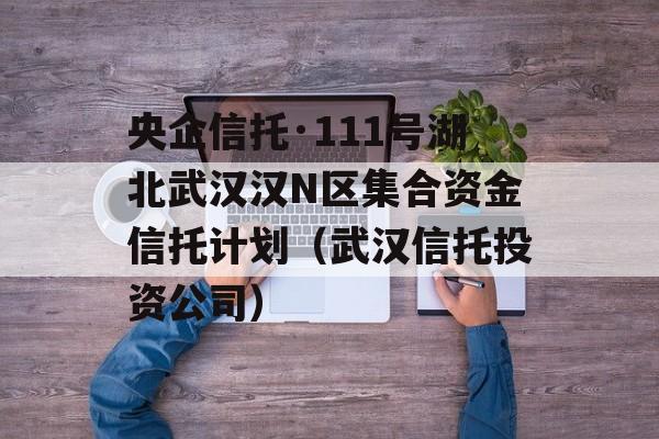 央企信托·111号湖北武汉汉N区集合资金信托计划（武汉信托投资公司）