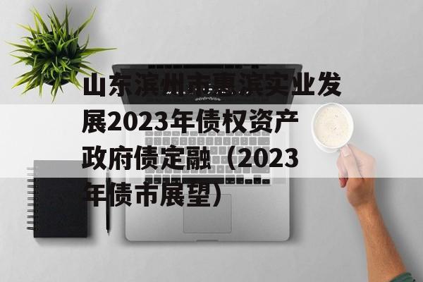 山东滨州市惠滨实业发展2023年债权资产政府债定融（2023年债市展望）