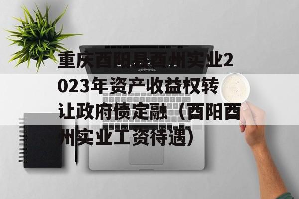 重庆酉阳县酉州实业2023年资产收益权转让政府债定融（酉阳酉州实业工资待遇）