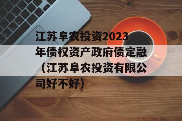 江苏阜农投资2023年债权资产政府债定融（江苏阜农投资有限公司好不好）