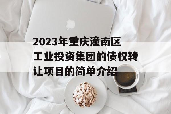 2023年重庆潼南区工业投资集团的债权转让项目的简单介绍