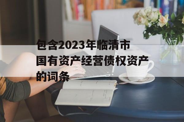 包含2023年临清市国有资产经营债权资产的词条