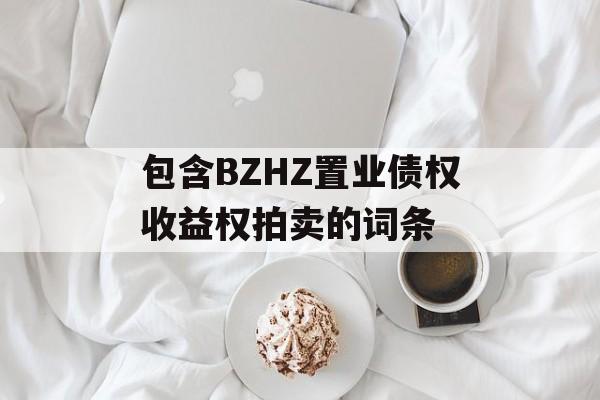 包含BZHZ置业债权收益权拍卖的词条