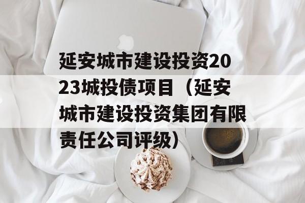 延安城市建设投资2023城投债项目（延安城市建设投资集团有限责任公司评级）