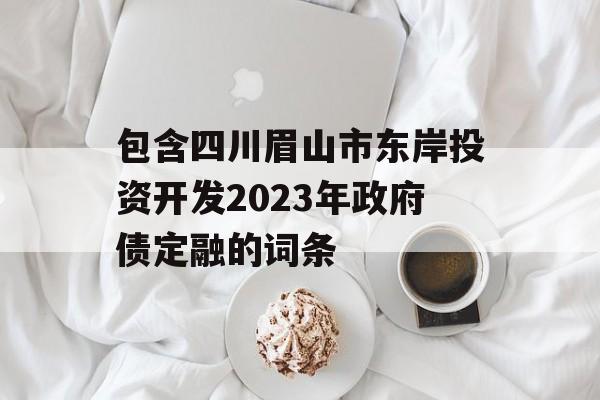 包含四川眉山市东岸投资开发2023年政府债定融的词条