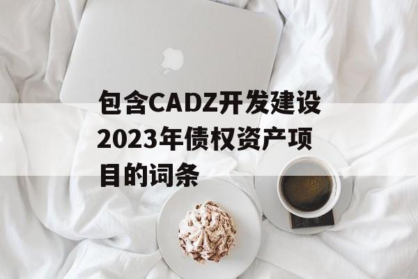 包含CADZ开发建设2023年债权资产项目的词条