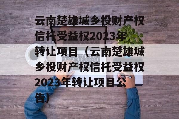 云南楚雄城乡投财产权信托受益权2023年转让项目（云南楚雄城乡投财产权信托受益权2023年转让项目公告）