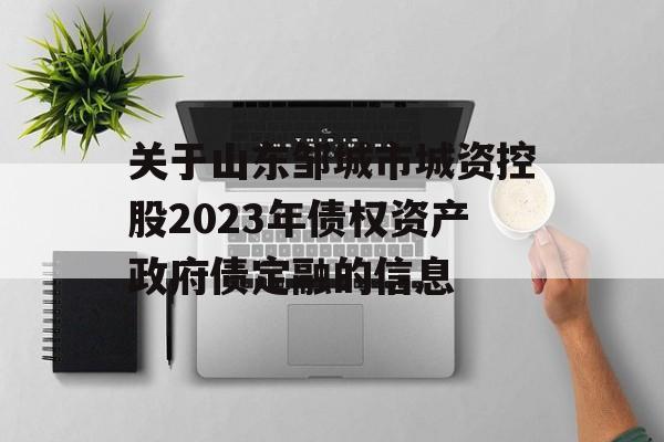 关于山东邹城市城资控股2023年债权资产政府债定融的信息