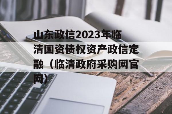 山东政信2023年临清国资债权资产政信定融（临清政府采购网官网）