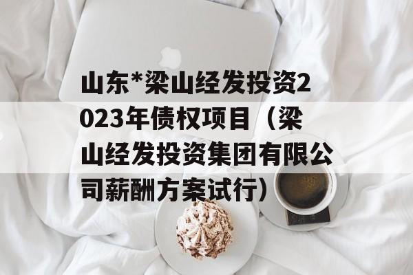 山东*梁山经发投资2023年债权项目（梁山经发投资集团有限公司薪酬方案试行）