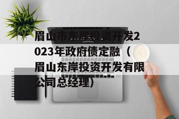 眉山市东岸投资开发2023年政府债定融（眉山东岸投资开发有限公司总经理）