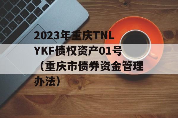 2023年重庆TNLYKF债权资产01号（重庆市债券资金管理办法）