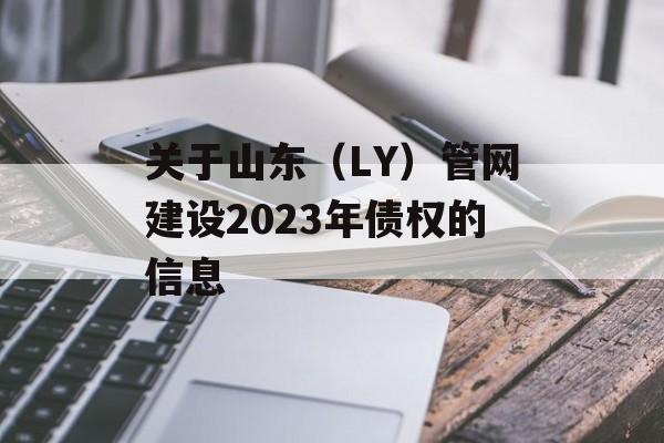 关于山东（LY）管网建设2023年债权的信息