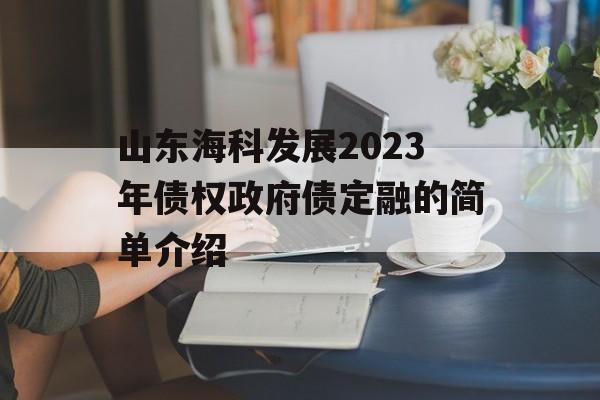 山东海科发展2023年债权政府债定融的简单介绍