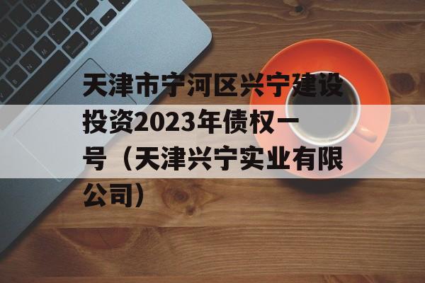 天津市宁河区兴宁建设投资2023年债权一号（天津兴宁实业有限公司）