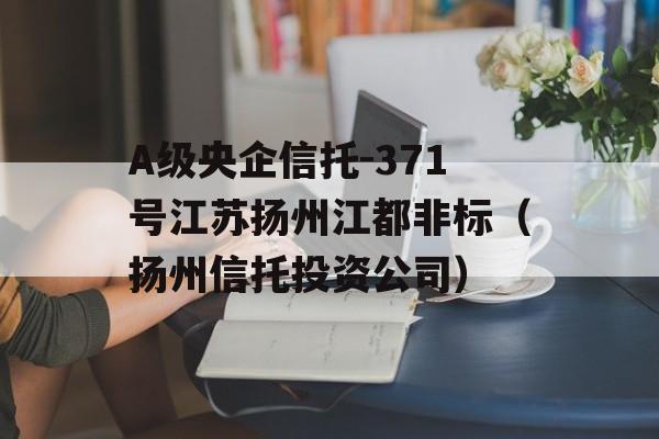 A级央企信托-371号江苏扬州江都非标（扬州信托投资公司）