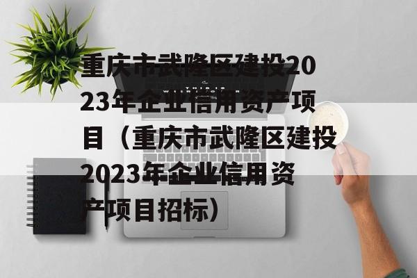 重庆市武隆区建投2023年企业信用资产项目（重庆市武隆区建投2023年企业信用资产项目招标）