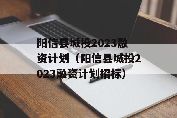 阳信县城投2023融资计划（阳信县城投2023融资计划招标）