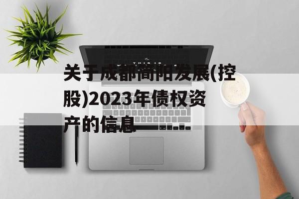 关于成都简阳发展(控股)2023年债权资产的信息