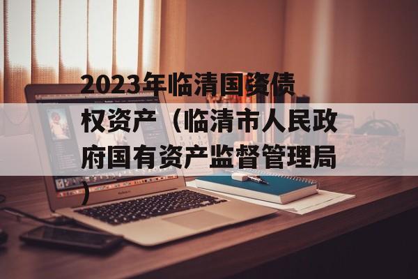 2023年临清国资债权资产（临清市人民政府国有资产监督管理局）