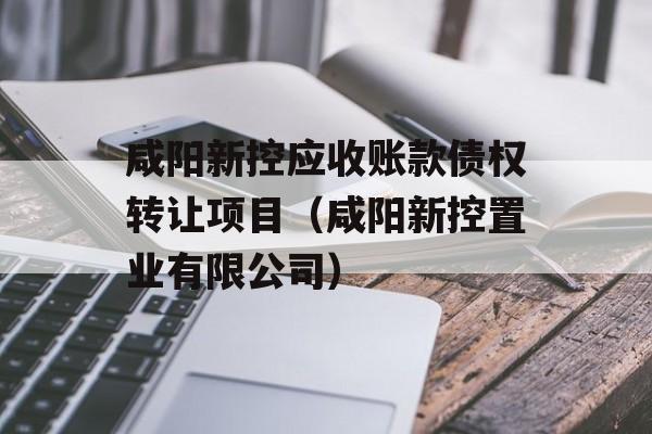 咸阳新控应收账款债权转让项目（咸阳新控置业有限公司）