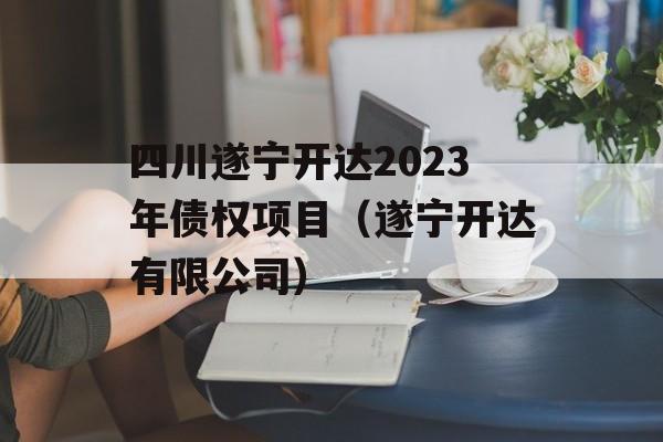 四川遂宁开达2023年债权项目（遂宁开达有限公司）