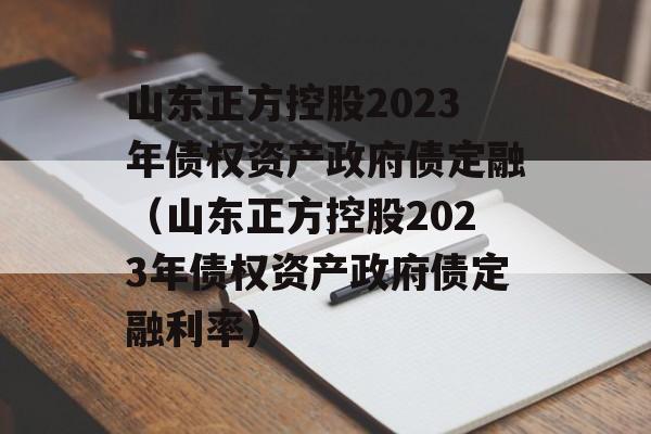 山东正方控股2023年债权资产政府债定融（山东正方控股2023年债权资产政府债定融利率）