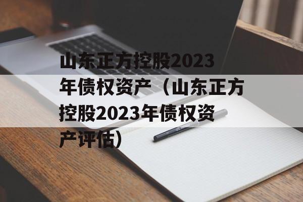 山东正方控股2023年债权资产（山东正方控股2023年债权资产评估）