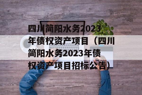 四川简阳水务2023年债权资产项目（四川简阳水务2023年债权资产项目招标公告）